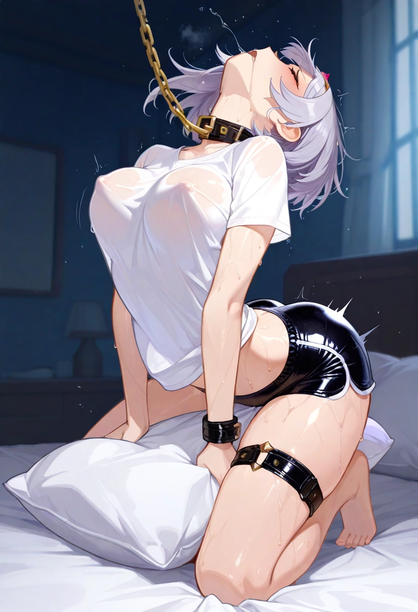 shirogane noel
